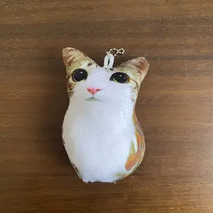 Voice Cat Plush Doll Anime Peripherals Soft Doll Collection Room Decoration Toy Kid Birthday Gifts