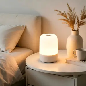 Bedroom Touch Light DY 3353630 Dimmable LED Rechargeable Battery Cordless Lamp for Bedroom Living Room Girls Room Kids Room Decoration Modern Touch Control USB Powered - Lighting Method