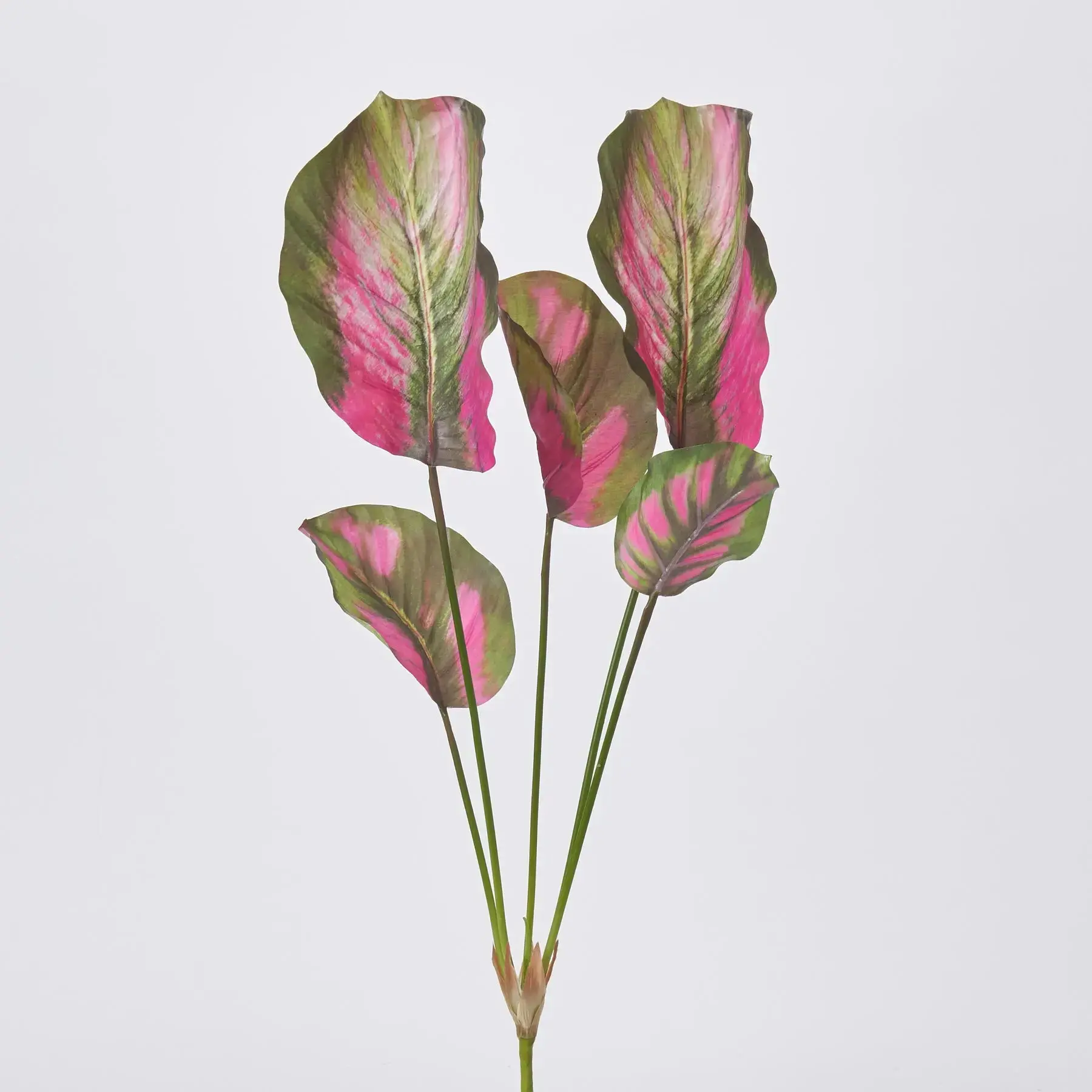 24" Natural Pink & Green Calathea Faux Houseplant Spray - Lifelike Fake Plant, Plastic Fake Greenery for Decor, Room Decor, Faux Flower Plant