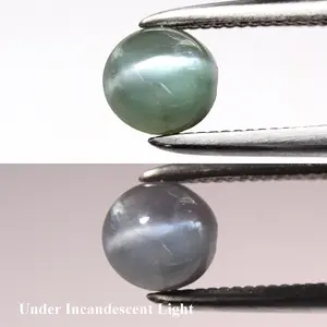 0.74 ct ETW Cat's Eye Alexandrite – Round Cut Cabochon