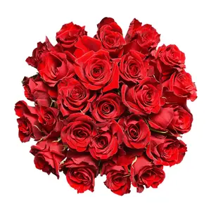 Red Roses - Choose from 25 to 200 Stems