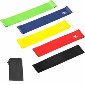 5-Piece Resistance Bands Set for Workout & Stretching, Exercise Loop Bands for Home Fitness, Strength Training