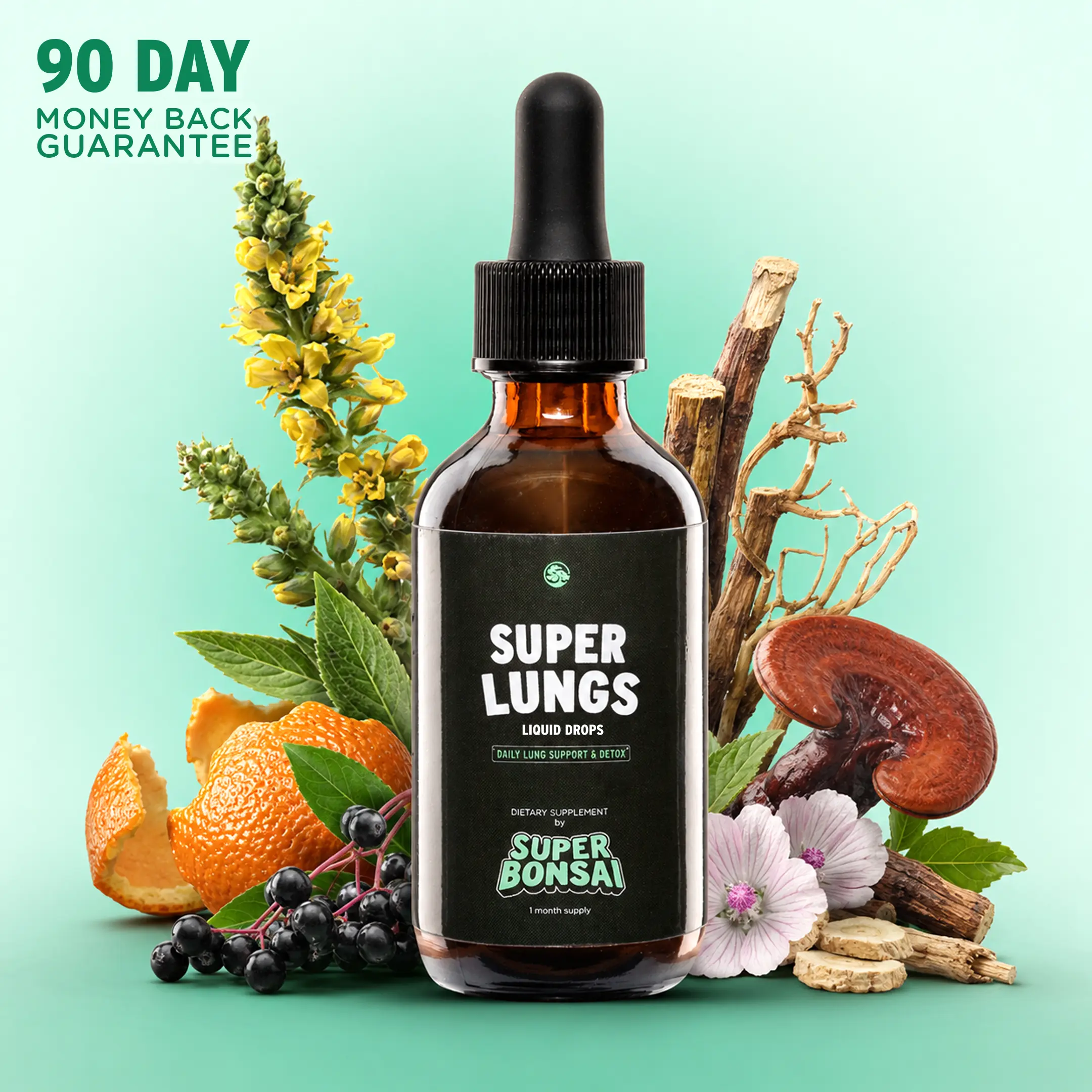 SuperBonsai Super Lungs Natural Health Dietary Supplement - Mullein, Elderberry Ingredients, Respiratory Health Support, Detox Cleanse - GMO-Free, Gluten-Free, Vegan, Mullein Leaf Lung Support Antioxidants Nutritional Supplement
