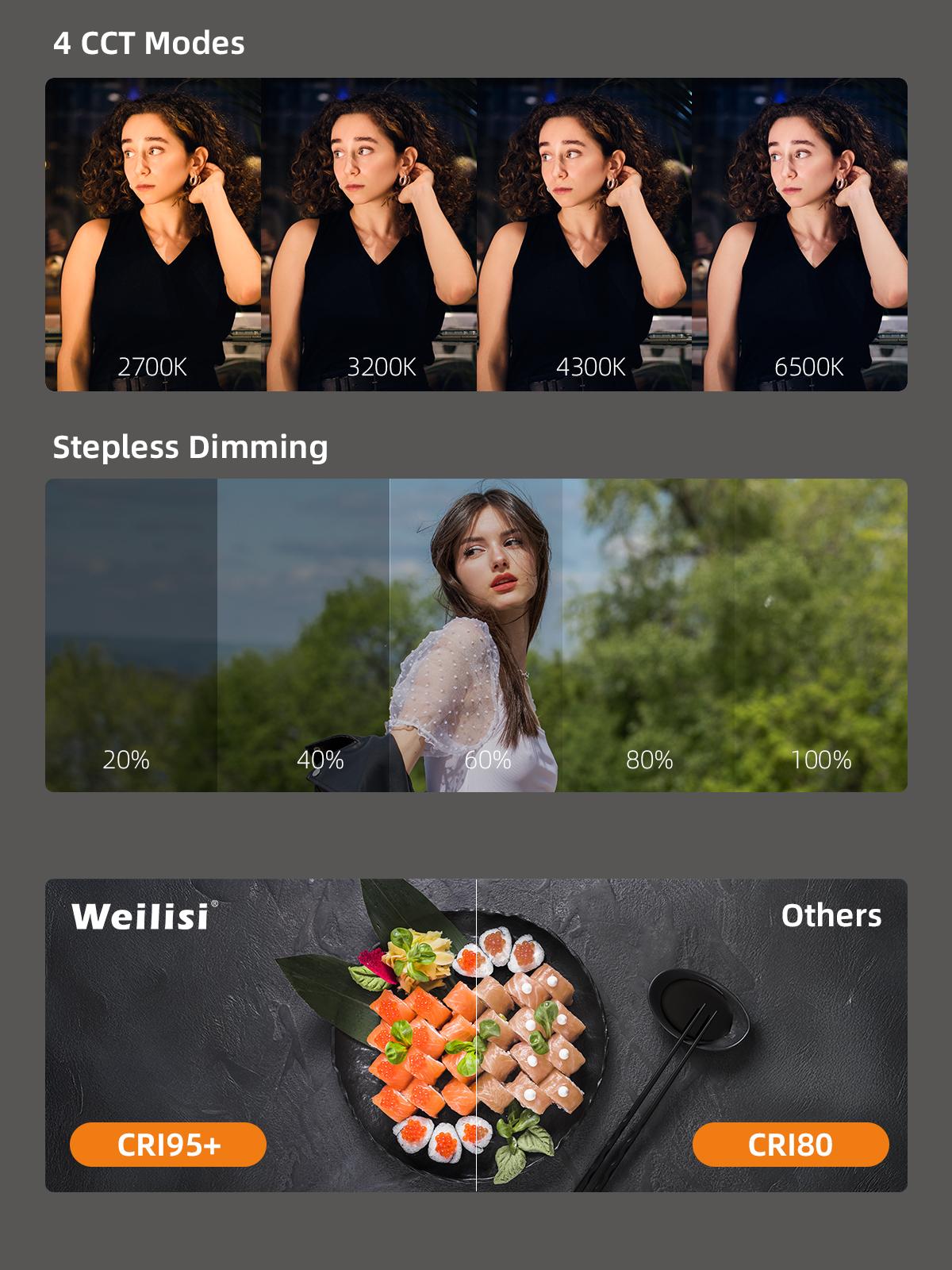 Weilisi Magnetic Selfie Light Compatible with MagSafe for iPhone – Rechargeable LED Fill Light with Mirror, CRI≥95, 5 Color Temps, Foldable Ring Light