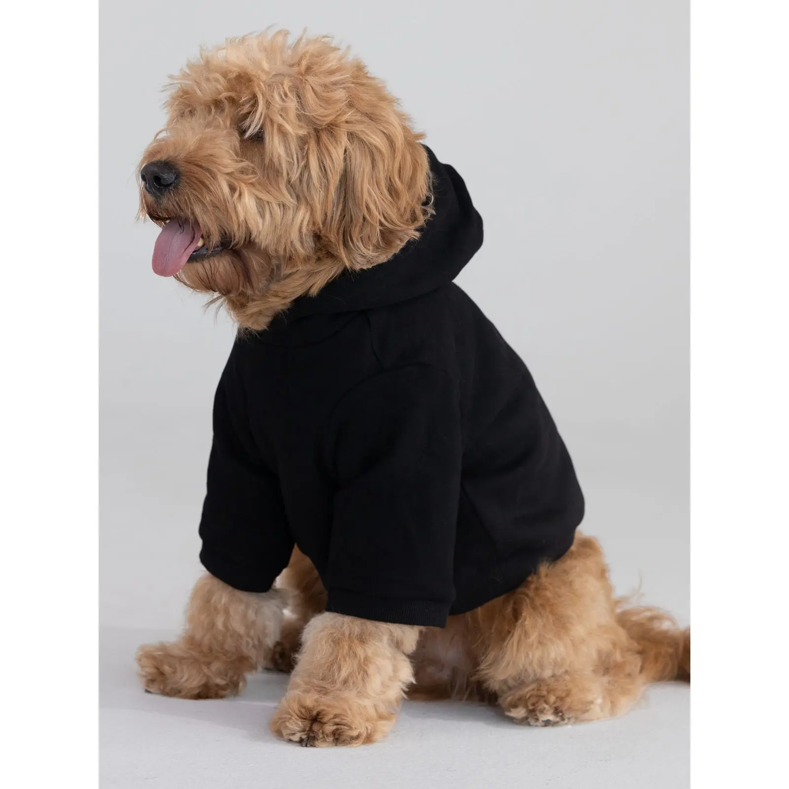 Comfrt | Tranquil Paw Hoodie | Soft Hooded Pet Clothing Outfits