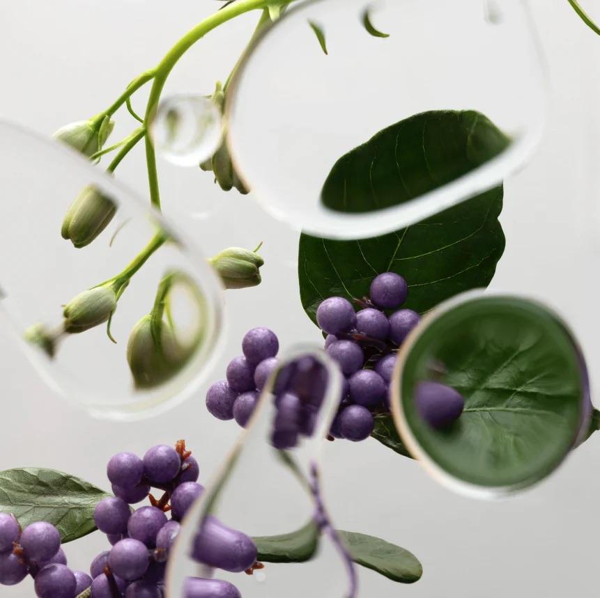 Vegamour GRO Revitalizing Shampoo & Conditioner Set | Hydrating Vegan Formula that Removes Buildup, Strengthens & Promotes Fuller, Thicker Hair, No Harsh Chemicals, All Hair Types & Color Safe Vegamour GRO Revitalizing Shampoo & Conditioner Set | Hydrating Vegan Formula that Removes Buildup, Strengthens & Promotes Fuller, Thicker Hair, No Harsh Chemicals, All Hair Types & Color Safe