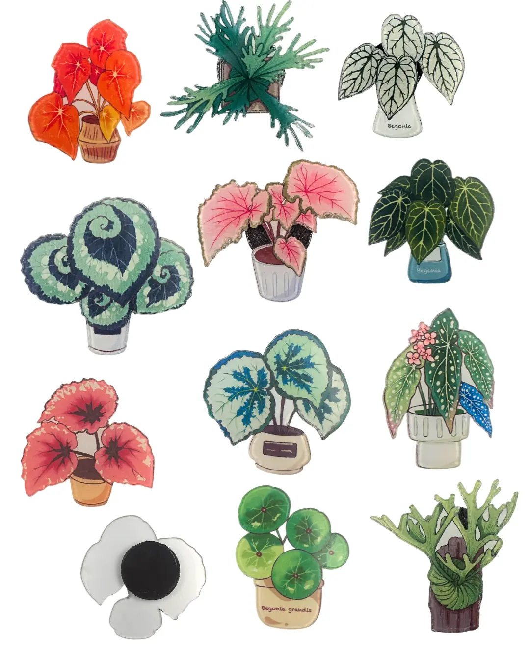 Plant Magnet – Botanical Design – Seller’s Choice (1 Magnet)