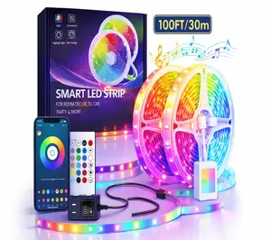 100FT Smart LED Light Strip RGB Color Changing Music Sync Strip Lights with App & Remote Control for Bedroom Indoor Lighting Decoration Modern