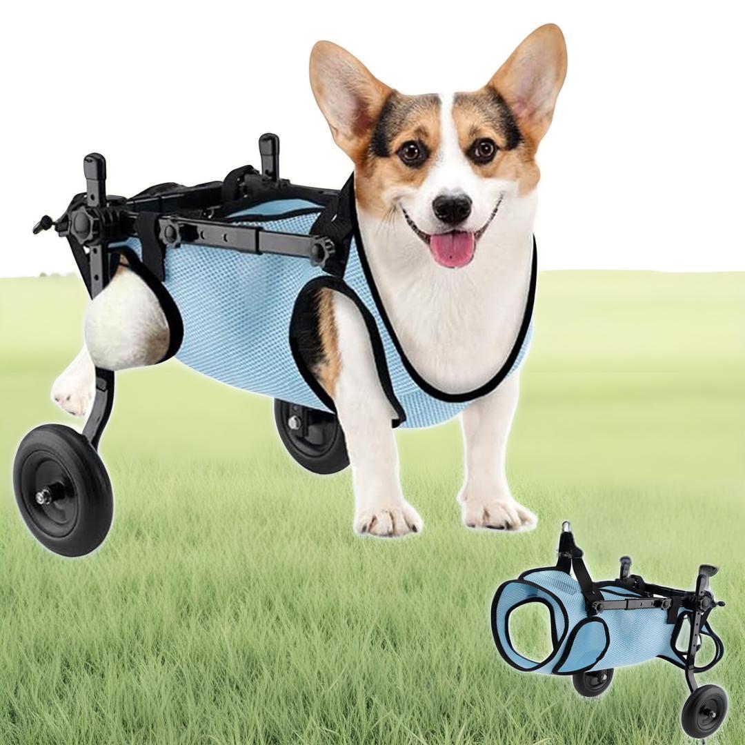 Dog Wheelchair for Back Legs, Dog Wheelchair Cart, Doggy/cat Wheelchairs with Disabled Hind Legs Walking, Mobility Aids for Small Pets Hind Limbs, Dogs Carts with Wheels, Light Weight,S/M
