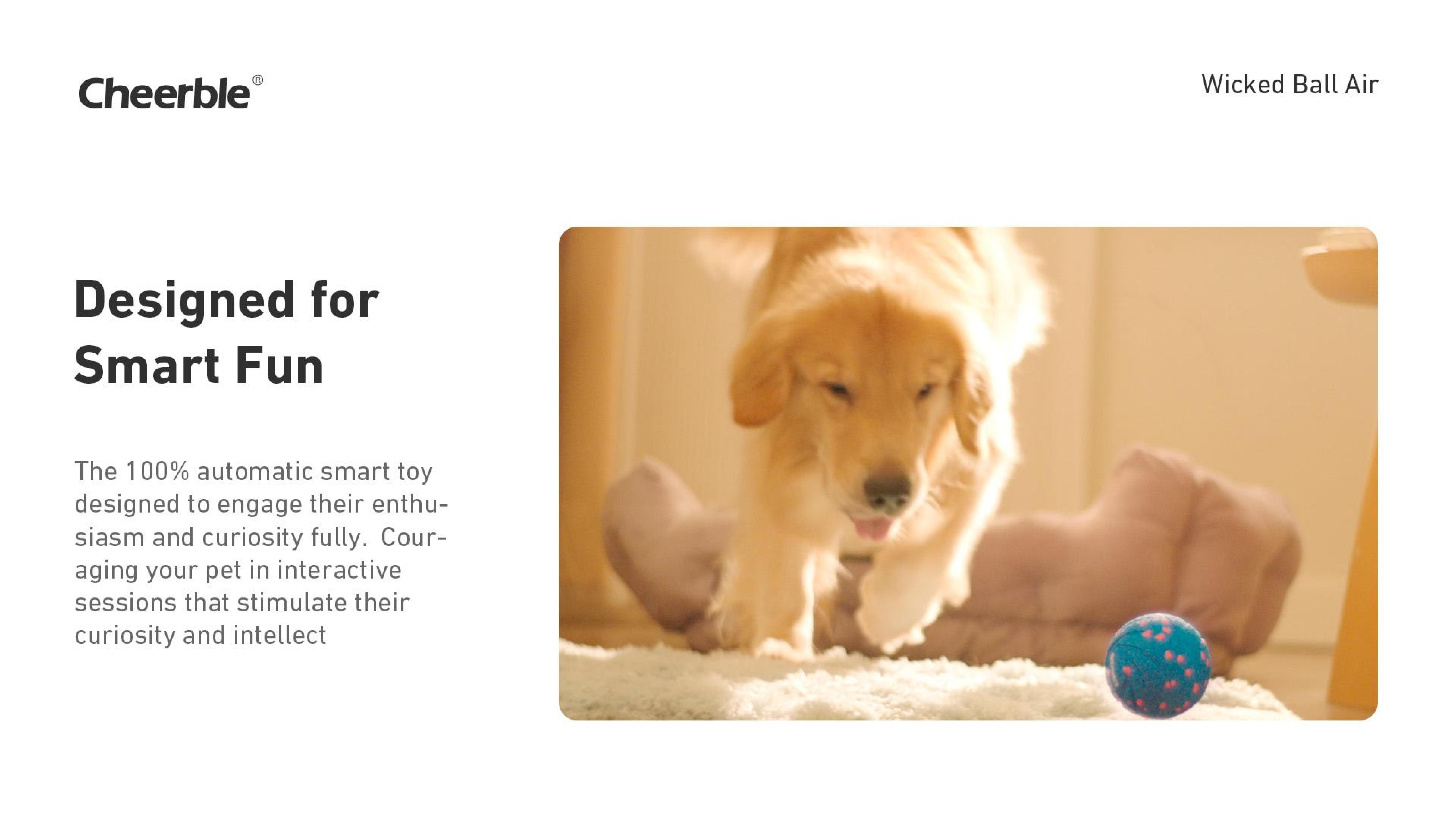 Cheerble Smart Interactive Dog Toy, Automatic Motion for Boredom Relief and Joy, Protects Dogs’ Teeth and Gums – Suitable for Small, Medium, and Large Dogs, Indoor & Outdoor Use