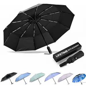 DryDay Travel Umbrellas for Rain - Large Windproof Double Canopy Umbrella, 10 Durable Ribs, Strong Frame, Auto Open Close Ergonomic Handle, Compact Waterproof Umbrella for Women & Men