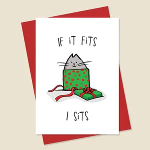 Christmas, Holiday Card • If It Fits, I Sits