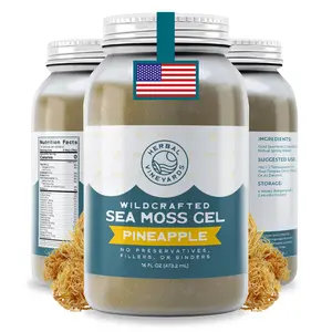 Herbal Vineyards Wildcrafted Pineapple Sea Moss Gel 16 Oz Jar - Made with Dried Seaweed & Fresh Sea Vegetables, Seamoss - Made in USA Flavor