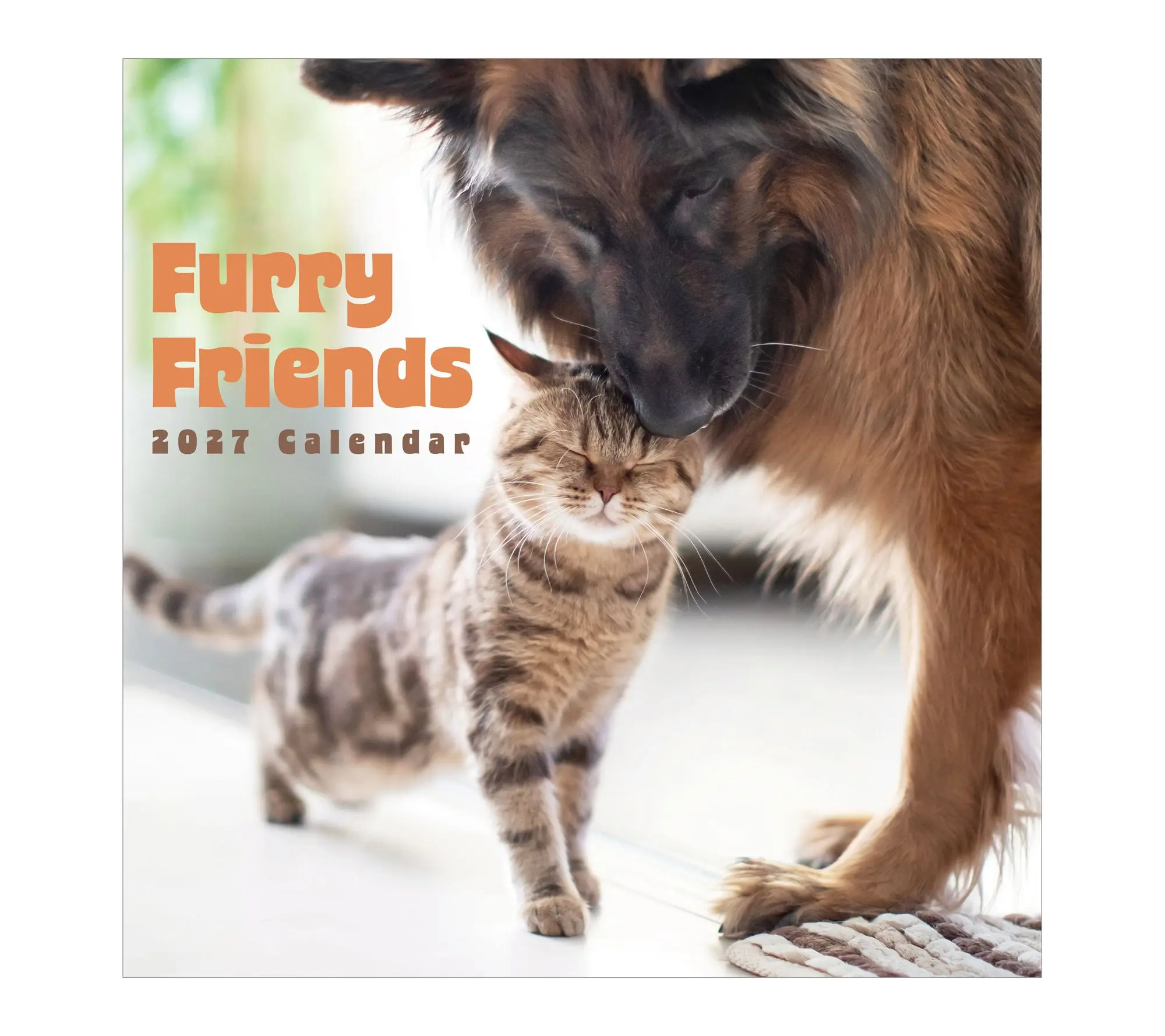 TF Publishing 2027 Furry Friends Wall Calendar