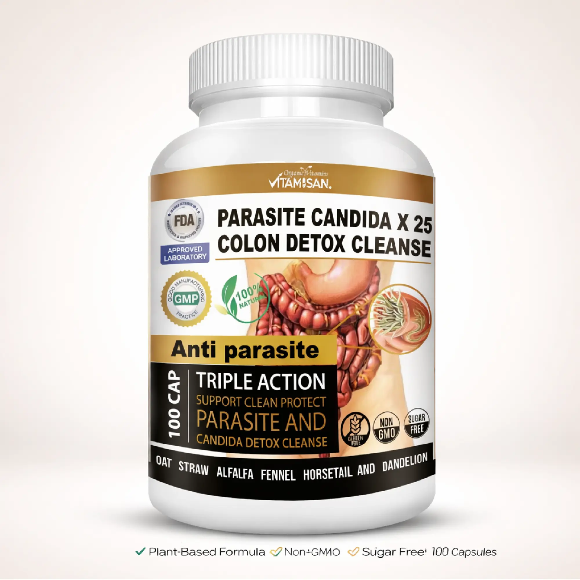 Vitamisan X25 Colon Detox Cleanse – Herbal Digestive & Gut Support – 100 Capsules