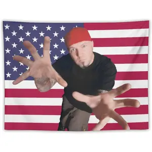 Tapestry Decor Tapestry Limp Nu Metal Bizkit Tapestries, 90's Vintage Graphic Posters, Retro Aesthetic Wall Hanging, Funny Flag Banner for Home Decor 30"x40" Vintageroomdecor Peach