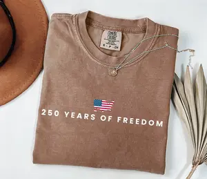 Comfort Colors 250 Years Of Freedom Shirt USA Anniversary Shirt Freedom Tee American 250 Merchandise 4th of July Shirt - LORA ATCHER