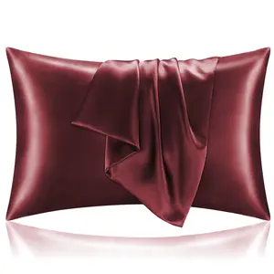 Satin Pillowcase for Hair and Skin, Super Soft and Cooling Similar to Silk Pillow Cases 2 Pack with Envelope Closure, Gift for Women Men(20"x30" Queen Size,)