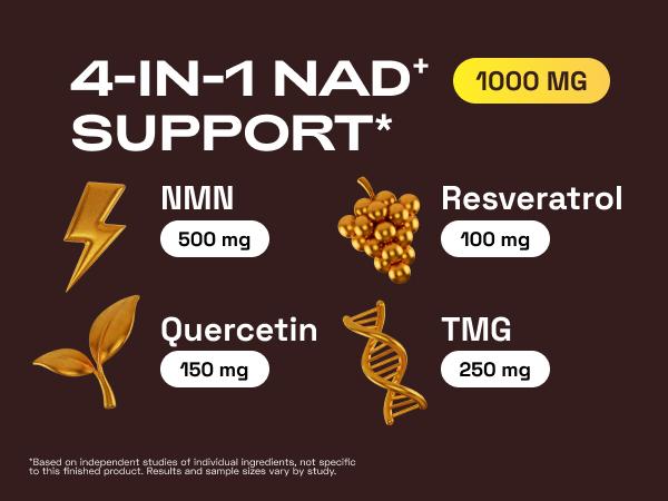 Cata-Kor NMN Supplement – 1000 mg | Quercetin | TMG | Resveratrol Complex – Supports Cellular Energy & NAD+ Levels - Vitamin Dietary Supplement Healthcare