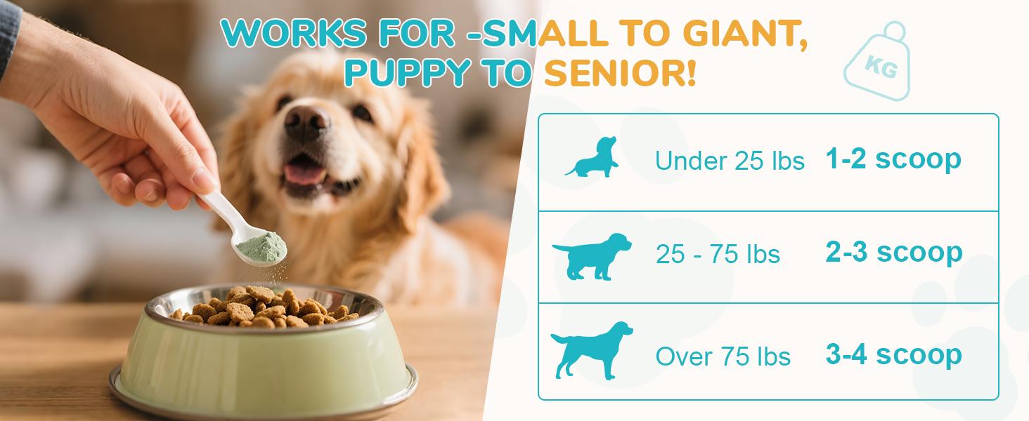 2 Pack-Large Jar 120g Dog Teeth Cleaning Powder,60 Servings Pet Dental Cleaning Powder for Dogs & Cats – Removes Tartar & Stains, Freshens Breath, Natural Oral Care Toothpaste Alternative,Plaque Tartar Remover with Postbiotic 2 Pack-Large Jar 120g Dog Teeth Cleaning Powder,60 Servings Pet Dental Cleaning Powder for Dogs & Cats – Removes Tartar & Stains, Freshens Breath, Natural Oral Care Toothpaste Alternative,Plaque Tartar Remover with Postbiotic