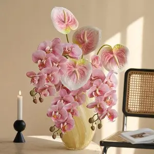 58Pcs White Orchid Seeds Perennial Flower Seeds for Planting Graceful Indoor Outdoor Blooms Ideal for Pots Containers Rock Gardens Decorative Landscaping