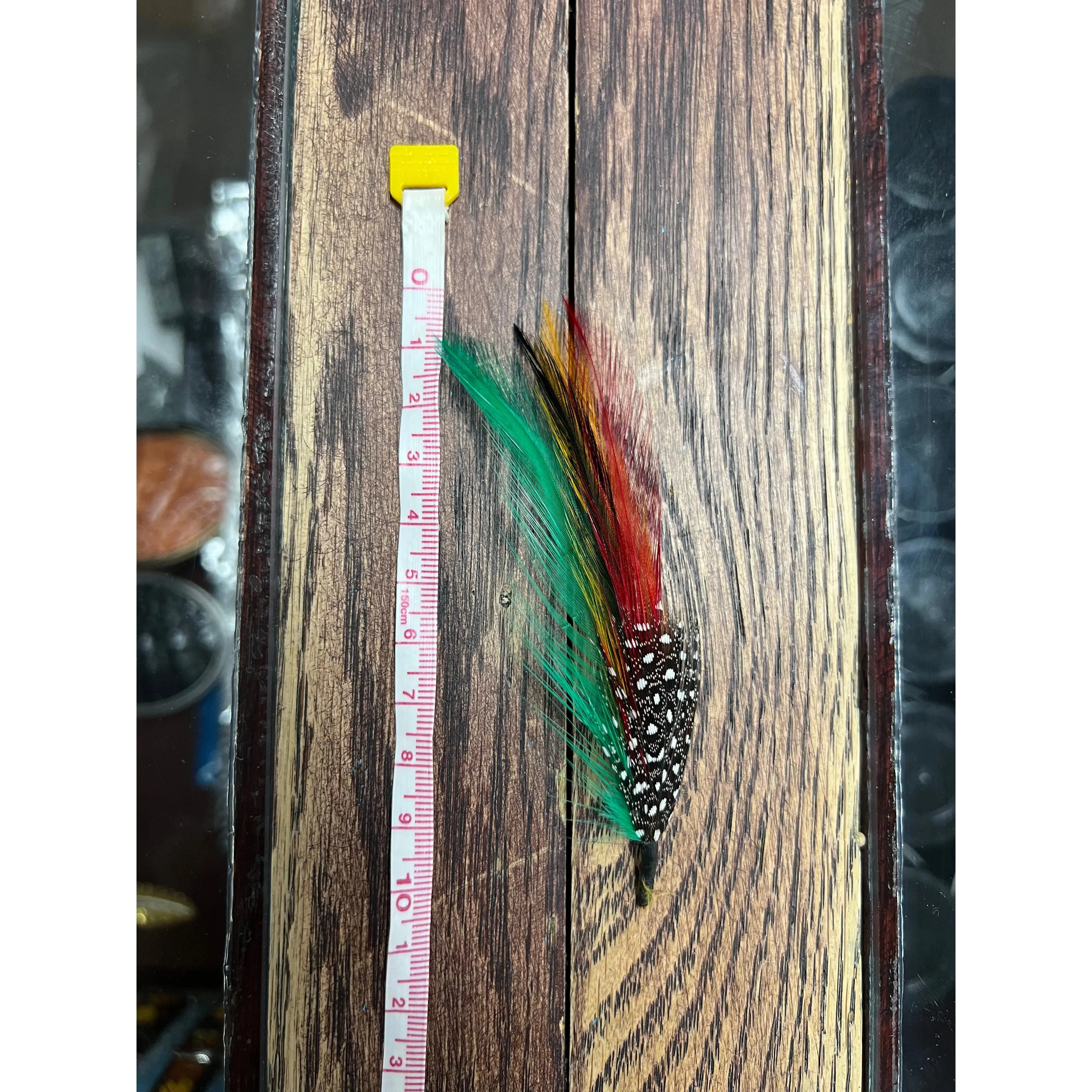 Multi-color Pluma/Feather