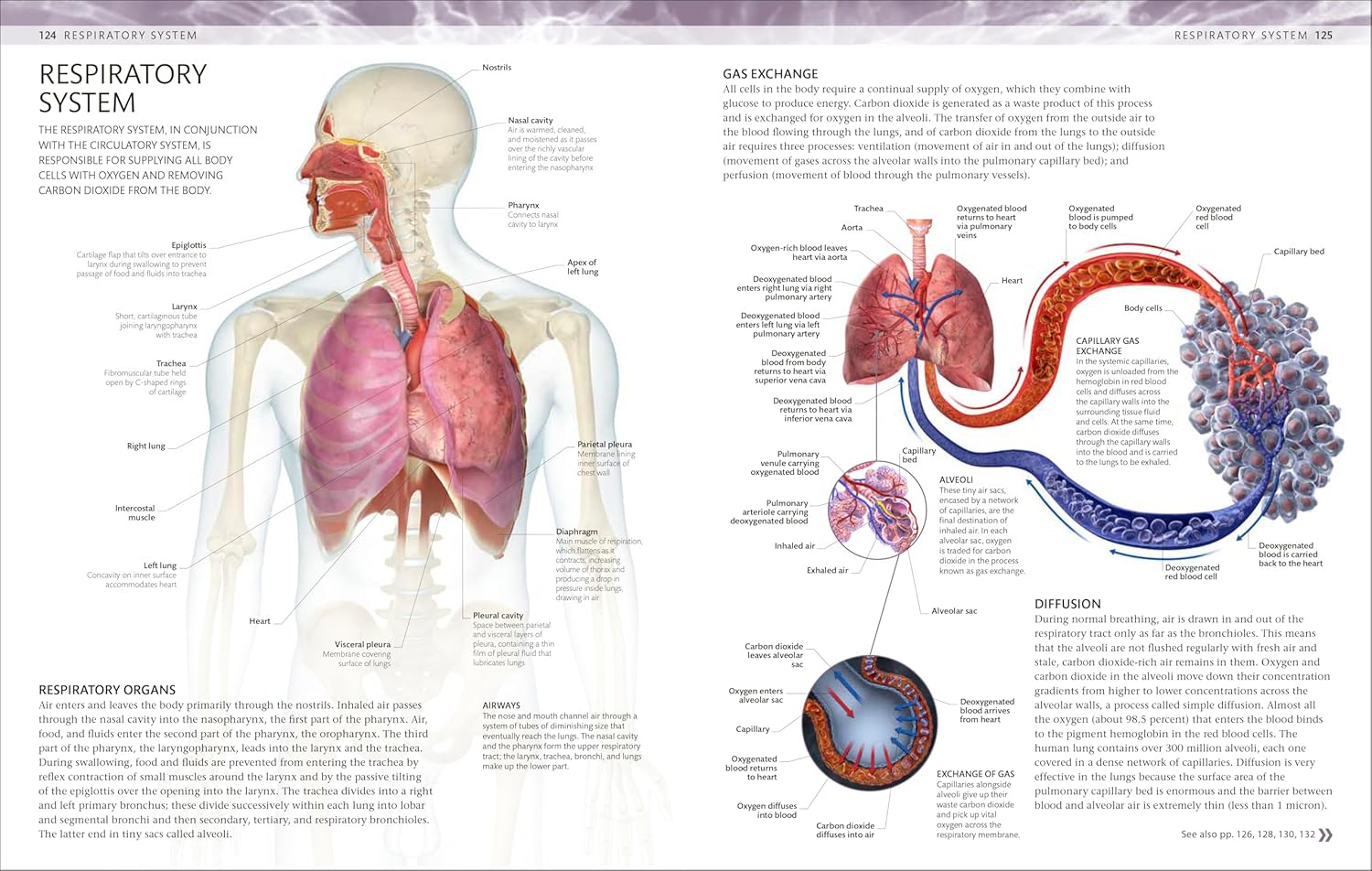 The Human Body Coloring Book: The Ultimate Anatomy Study Guide, Second ...