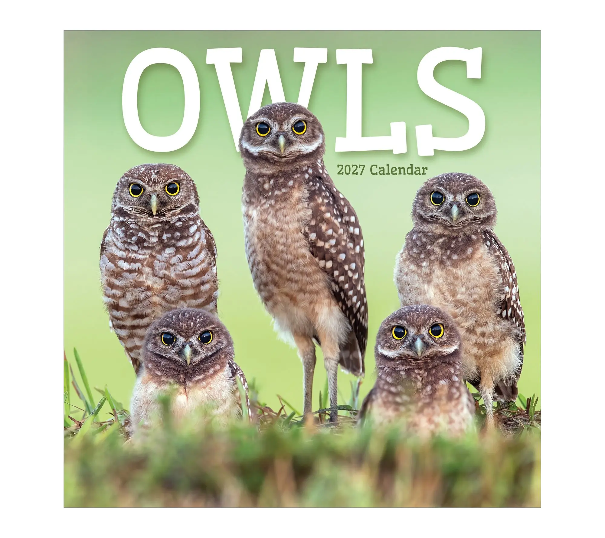 TF Publishing 2027 Owls Wall Calendar