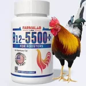 Farmalab B12 5500 Plus Poultry Health Supplement for Roosters & Hens, Gamefowl