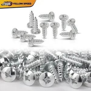 Fit For American Car 100 Bag License Plate Screws-phillips Pan Head Self Tapping