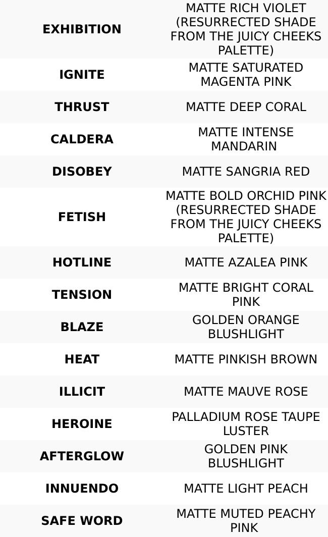 MASTERCLASS Pro Cheek Palette - 15 Vibrant Blush Shades + Magnetic Pans