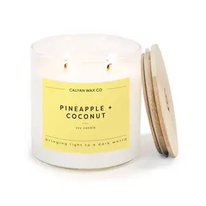 Pineapple + Coconut Glass Tumbler Soy Candle | Seasonal Fragrance