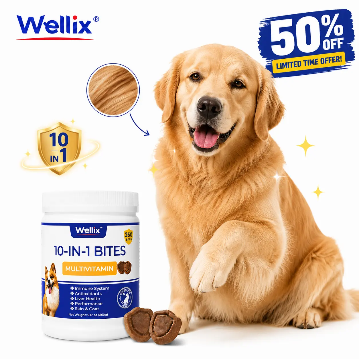 Wellix 260-Bites Dog 10-IN-1 Vitamins Chewable Multivitamin Supplement for Skin Coat Mobility Joints Immunity & Health All Sizes Dogs