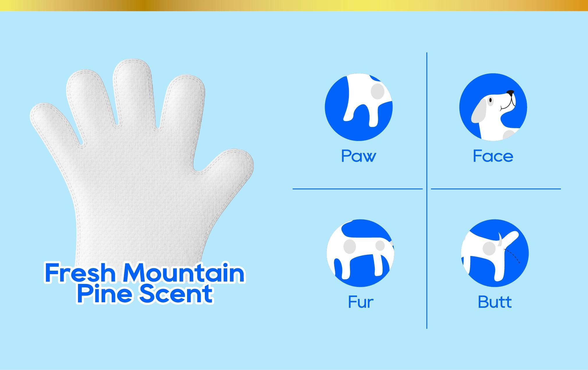 HONEYCARE: All-Absorb Pet Glove Wipes for All Pets | Dogs & Cats | Hypoallergenic | No Foam | Disposable No Rinse Shampooing Gloves HONEYCARE: All-Absorb Pet Glove Wipes for All Pets | Dogs & Cats | Hypoallergenic | No Foam | Disposable No Rinse Shampooing Gloves