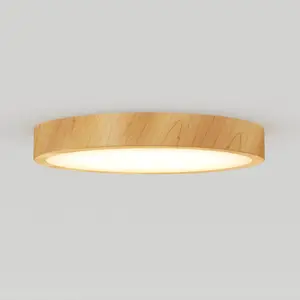 Dryad 15 in. LED Modern flush mount light