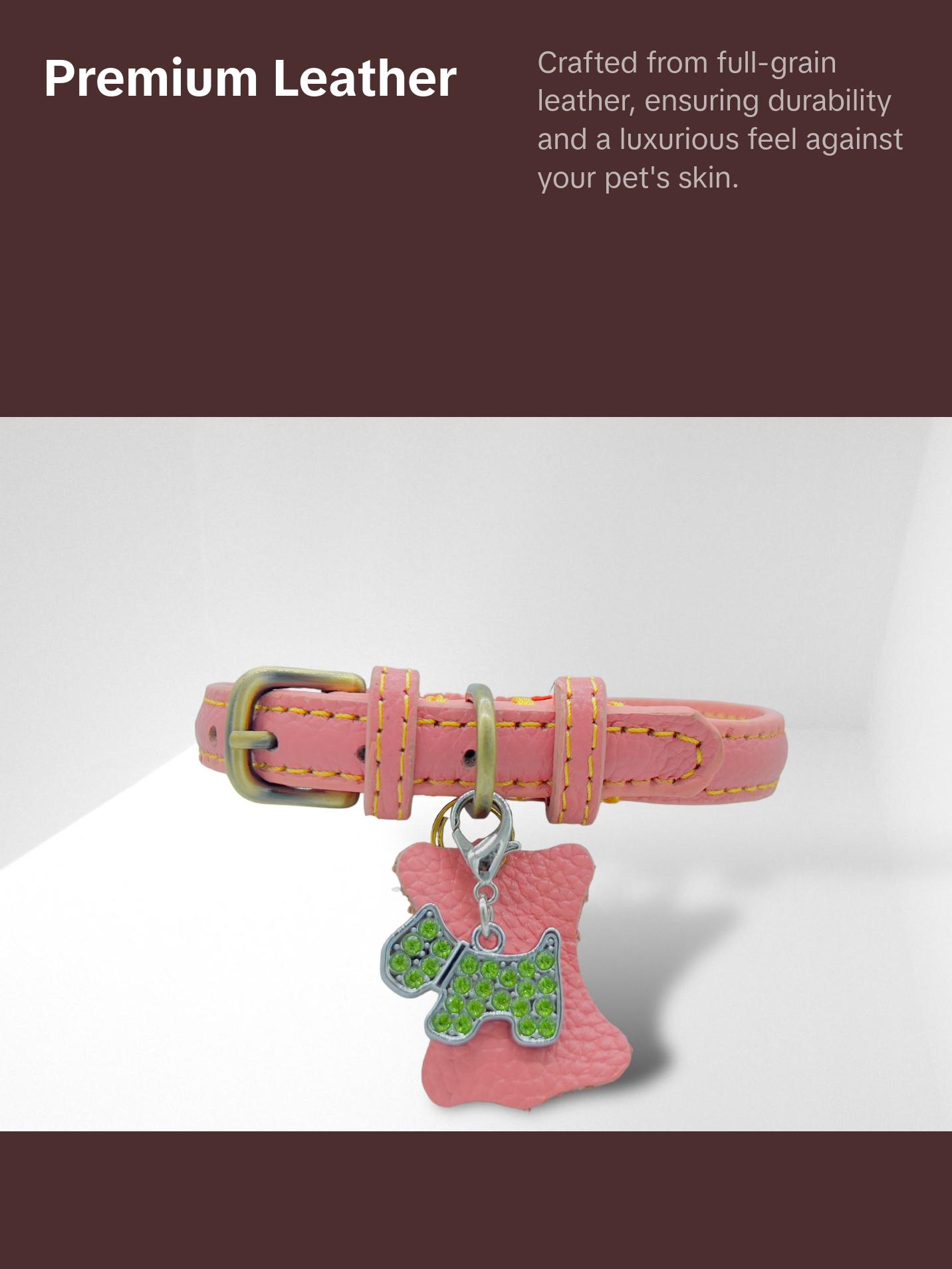 KLASSIC Handmade Leather Dog Collar with Rhinestone Tag