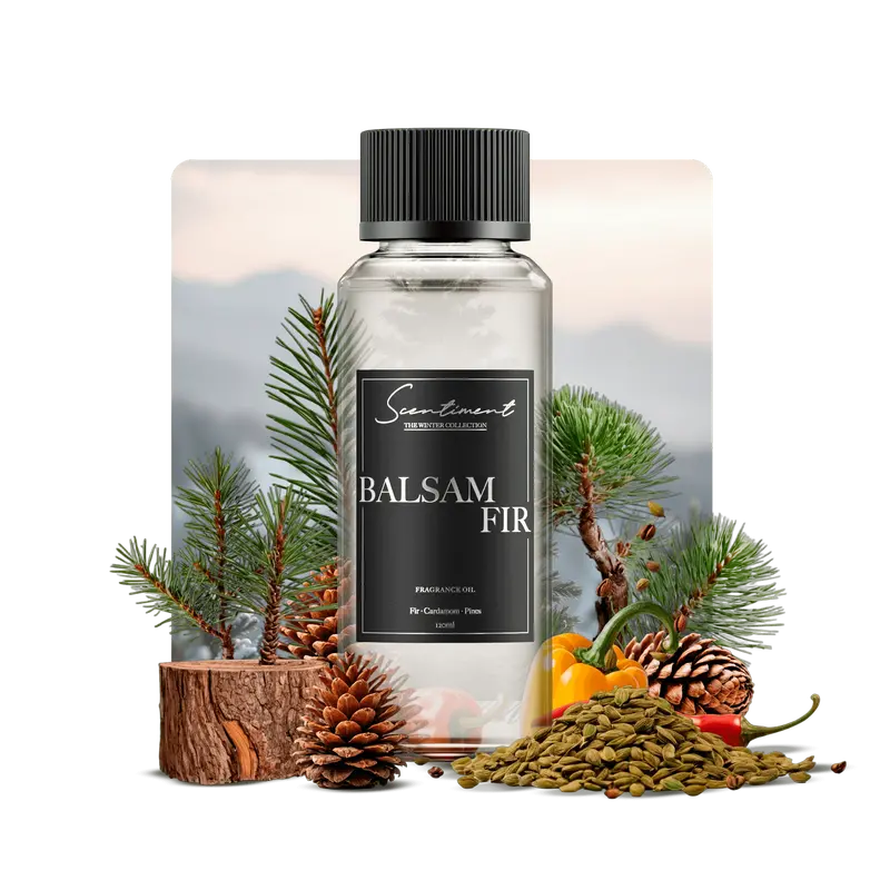Scentiment Balsam Fir Fragrance Oil - Woody Aromatic Scented Oil for Aromatherapy Diffusers & Christmas Decor - Top Notes Fir Balsam & Pine - Middle Notes Cardamom & Pepper - Base Note Scotch Pine