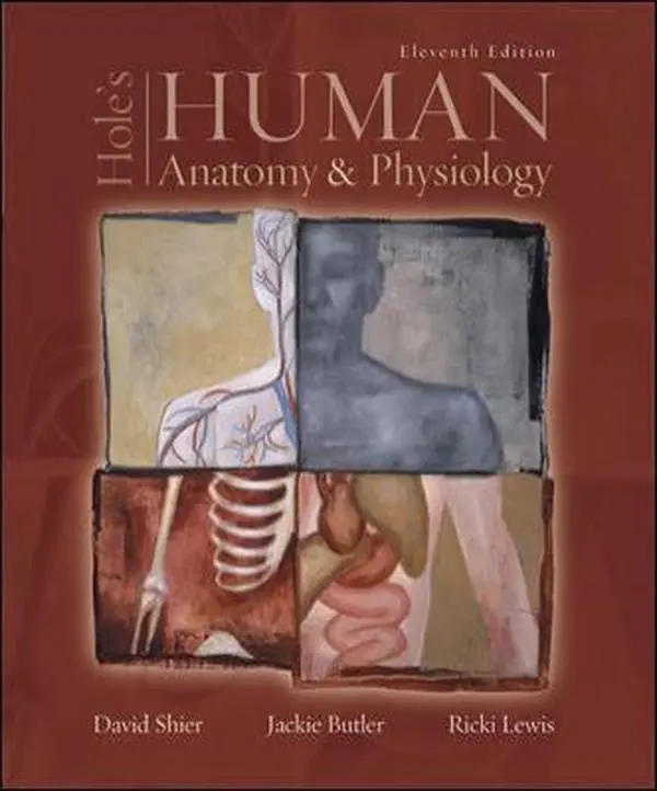 USED-Hole's Human Anatomy & Physiology 11th edition by Jackie;Lewis, Ricki Shier David;Butler (2007) Hardcover by Ricki Shier David (Hardcover)