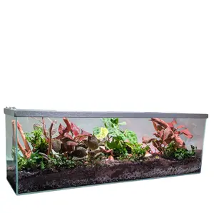 Lifegard Low Iron Glass 11 Gallon Long Terrarium