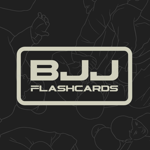 BJJ Flashcards