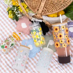 2026 Spring Collection Glass Tumbler with Lid and Plastic and Glass Straws