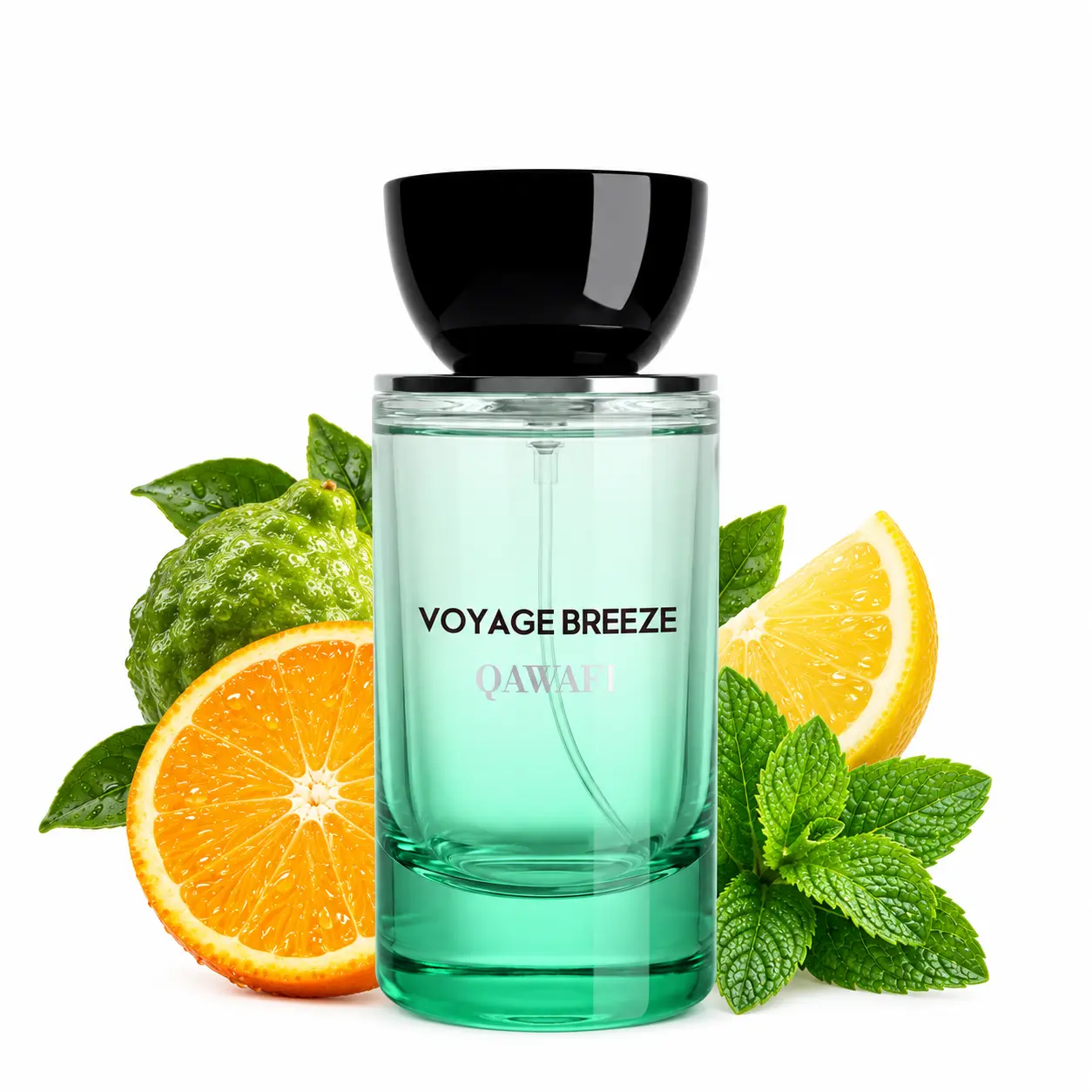 Voyage Breeze | Citrus Aromatic Fruity | Extrait De Parfum 50ml/100ml | Long Lasting Luxury Fragrance | Daily fragrance Citrusy Cologne