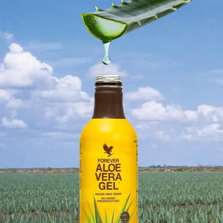 Forever Living Aloe Vera Gel - Pure Herbal Beverage for Adults, Vegetarian Halal Certified, Stabilized Inner Leaf Formula, Daily Hydration & Premium Wellness Support