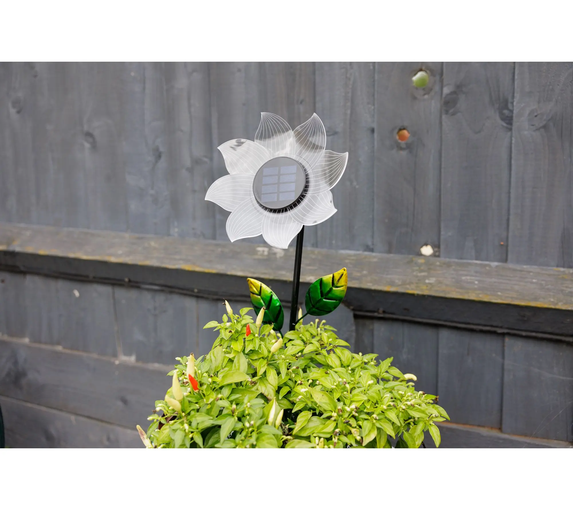 Jennings Set of 2 Solar Standing Fibre Flower Stakes