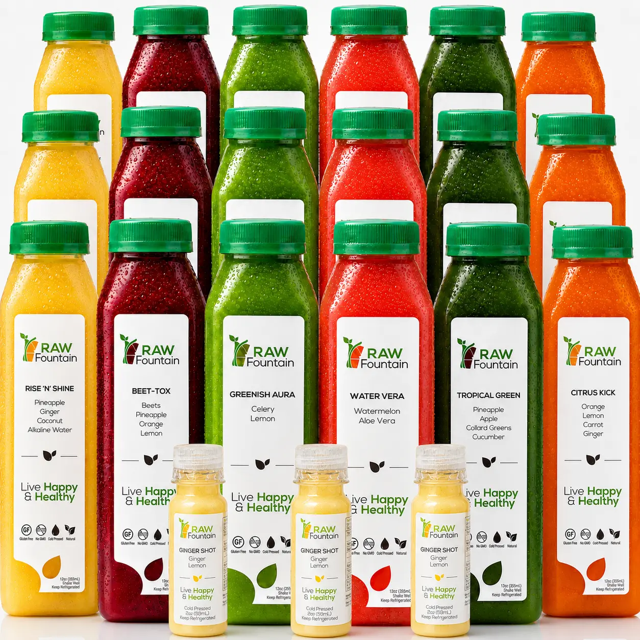 3 Day Juice Cleanse by RAW Fountain, Tropical Flavors, All Natural Raw, Cold Pressed, Detox Cleanse, Great Way to Reset Your Digestive System, 18 Bottles 12oz, 3 Ginger Shots 2oz