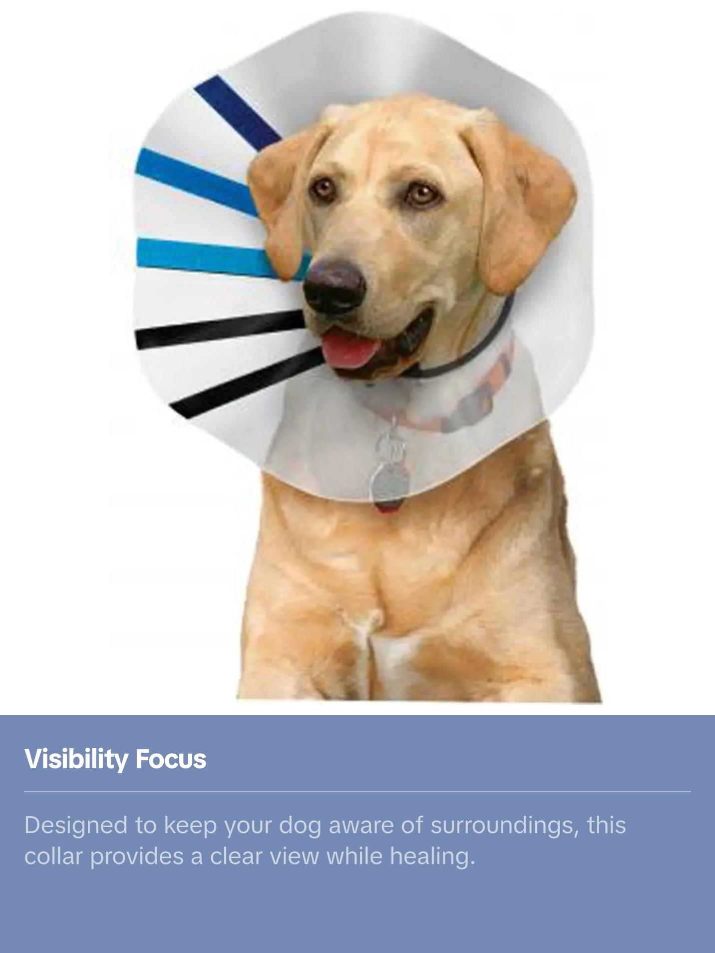 Kong® EZ Clear™ Dog Collar