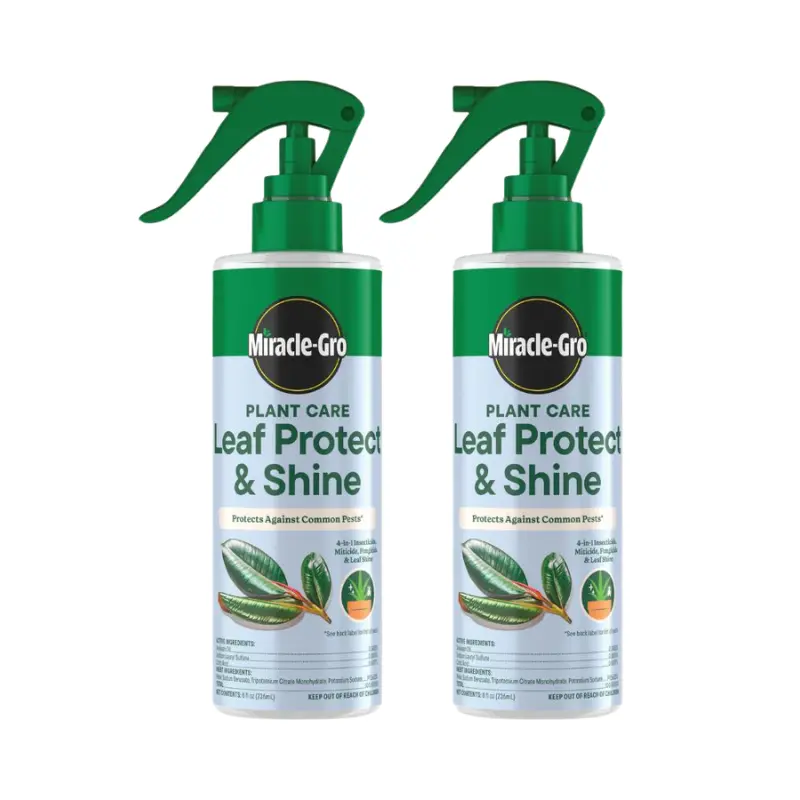 Miracle-Gro 4-in-1 Leaf Protect and Shine Spray - 8 fl. oz. Garden Supplies, Houseplant Safe Insect Control for Thrips & Aphids, Enhances Foliage, Prevents Powdery Mildew, Health, None