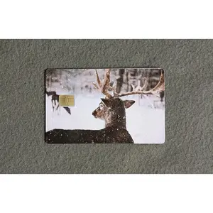 Winter Buck #9 Card Protector Sticker, Overlay, Decorative Only