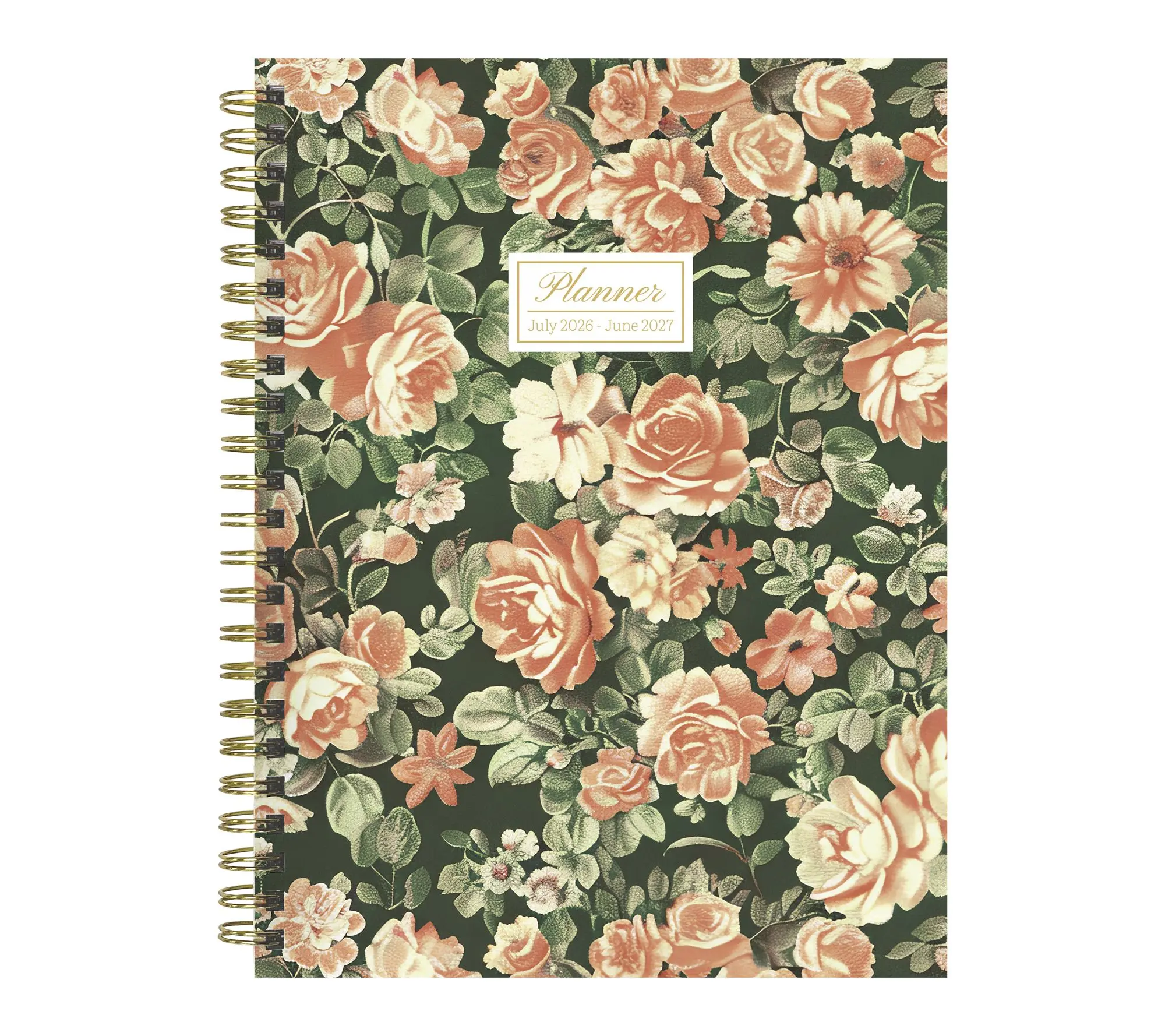 TF Publishing The Rose Garden Medium Weekly Monthly Planner TF Publishing The Rose Garden Medium Weekly Monthly Planner