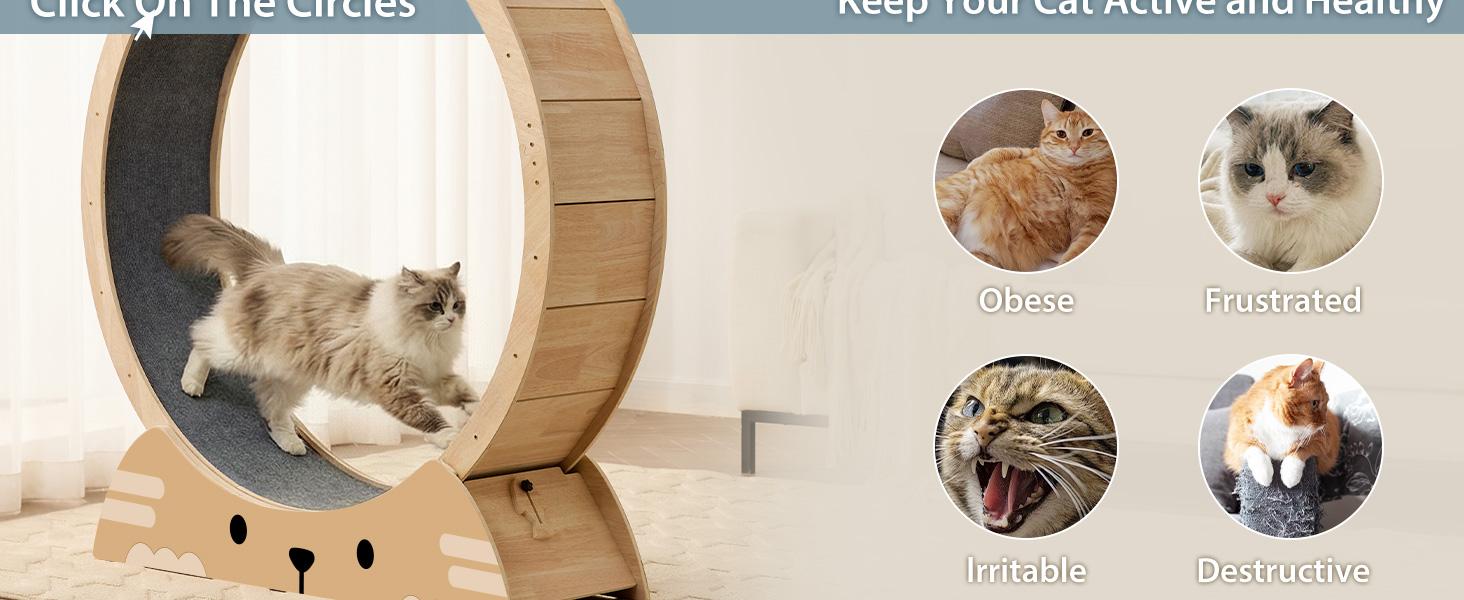 BFPETHOME 48-in Wood Cat Exercise Running Wheel - Quiet, Stable Indoor Treadmill with Anti-Slip Mat for Kittens, Kitten